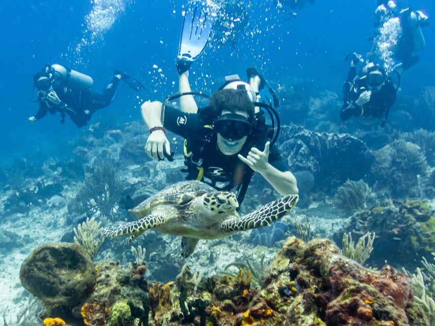Book your 2 Tank Dive in Cozumel s Marine National Park Experience Today. Discover exciting activities, tours, places to eat, places to stay, and fun things to do in San Miguel de Cozumel, Mexico with PartyFixx.co.