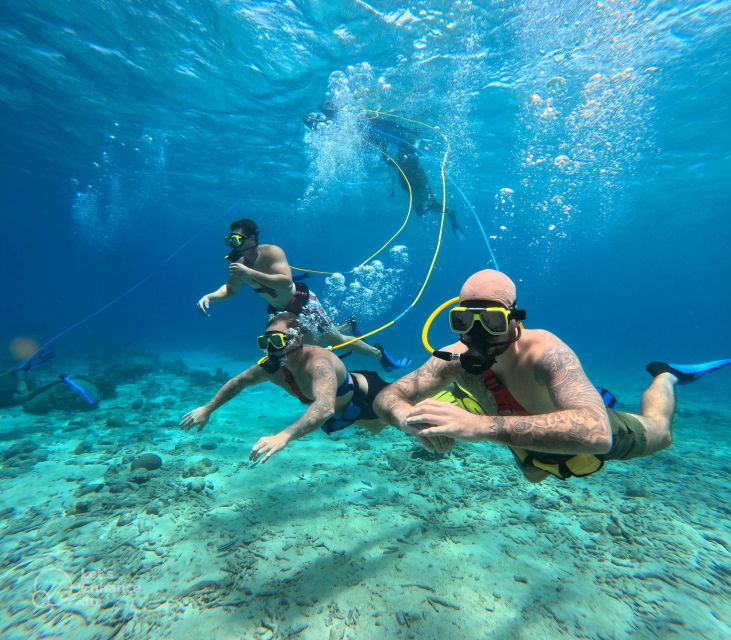 Book your Curacao Willemstad SNUBA® Diving Guided Underwater Snorkling Experience Today. Discover exciting activities, tours, places to eat, places to stay, and fun things to do in , Curaçao with PartyFixx.co.