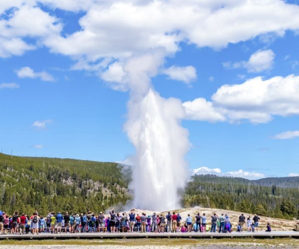 From Jackson: Yellowstone Day Tour Including Entrance Fee – Grand Teton National Park, WY