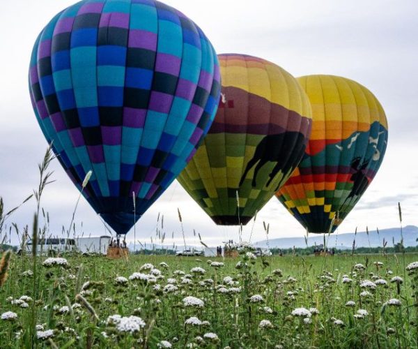 Teton Village: Grand Tetons Sunrise Hot Air Balloon Tour – Snake River, WY