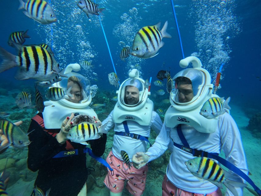 Book your Willemstad: Guided Underwater Walking Experience Experience Today. Discover exciting activities, tours, places to eat, places to stay, and fun things to do in , Curaçao with PartyFixx.co.