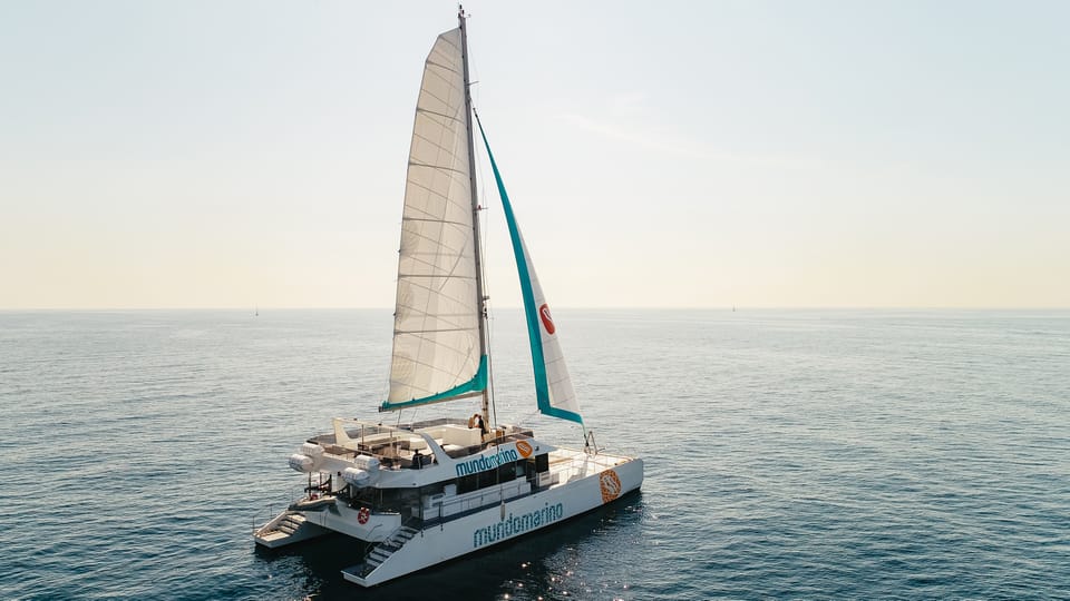 Book your Malaga: Catamaran Sailing Trip with Sunset Option Experience Today. Discover exciting activities, tours, places to eat, places to stay, and fun things to do in Andalusia, Spain with PartyFixx.co.