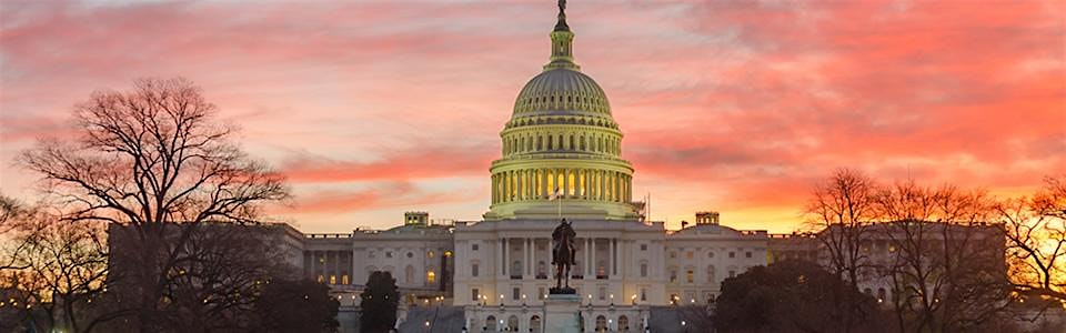 US Capitol Guided Tour with Walking Tour from Union Station – Washington, DC