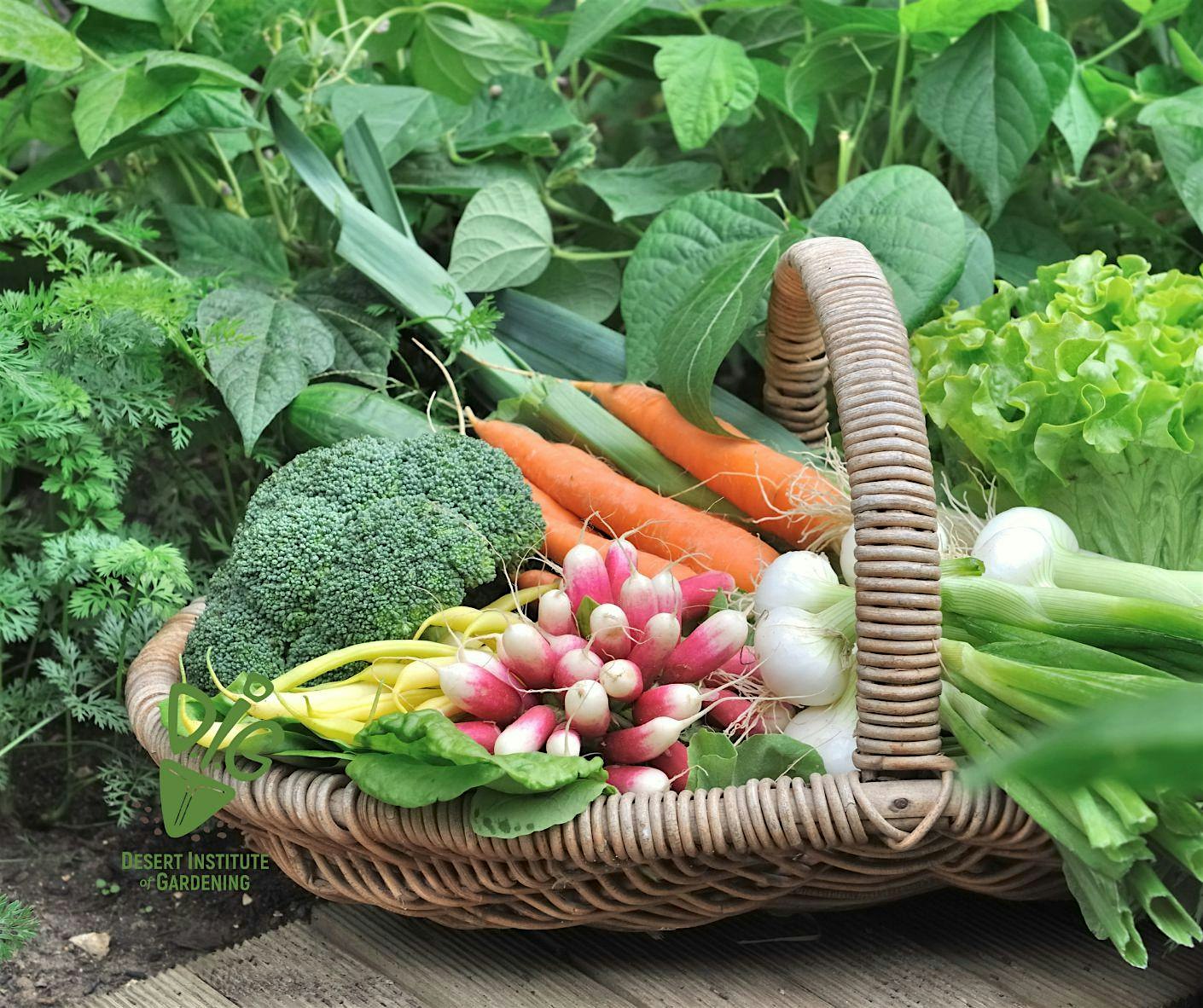 DIG ONLINE: Growing a Cool-Season Vegetable Garden – ,