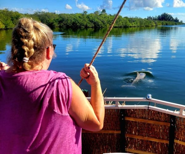 2 Hour Dolphin Sightseeing Tour- Melbourne Florida – Melbourne, Florida