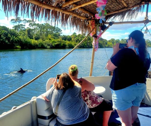 2 Hour Tiki Dolphin Sightseeing Tour in Cocoa Beach – Cocoa Beach, Florida