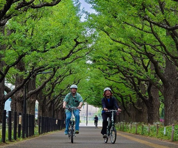 3-hour Private E-bike Tour in Tokyo Starts at Your Hotel – Tokyo, Japan