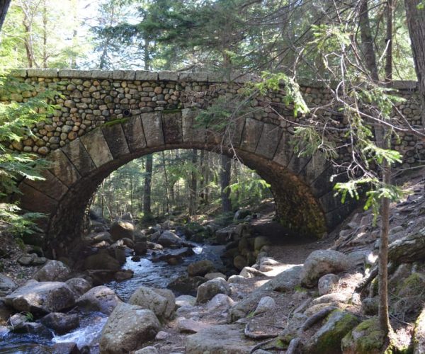 6 Hour Private Tour: Ultimate Acadia Tour with Lobster Lunch – Mount Desert, Maine