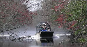 Airboat Tour of Louisiana Swamps – Louisiana, United States