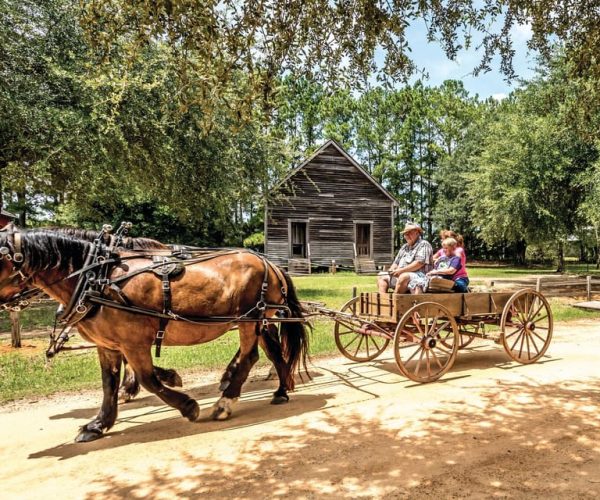 Alabama: Dothan-Eufaula Area Multi-Attraction Pass – Dothan, Alabama