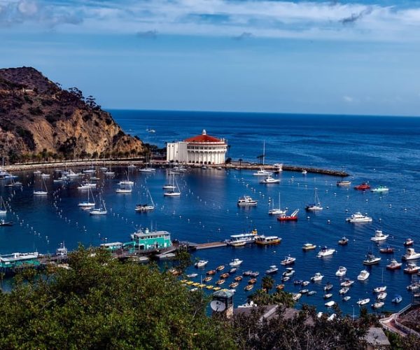 All-Inclusive Guided Tour of Catalina Island from Orange Co – California, California