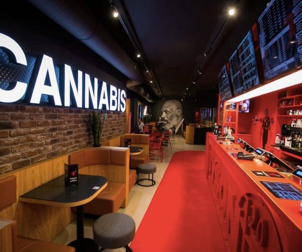 Amsterdam: Guided Ganja Walking Tour of Coffee Shops – North Holland, Netherlands