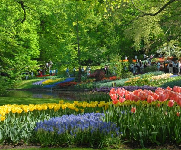 Amsterdam: Half-Day Keukenhof Guided Tour with Entrance – Amsterdam, Netherlands