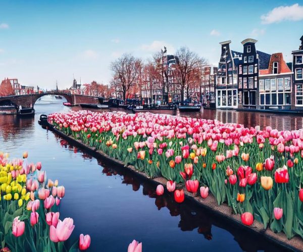 Amsterdam: Insta-Perfect Walk with a Local – North Holland, Netherlands