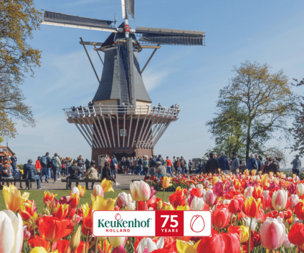 Amsterdam: Keukenhof Entry and Roundtrip Shuttle Transfer – South Holland, Netherlands