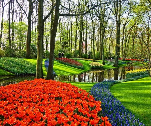 Amsterdam: Keukenhof & Zaanse Schans Windmills Private Tour – Amsterdam, Netherlands