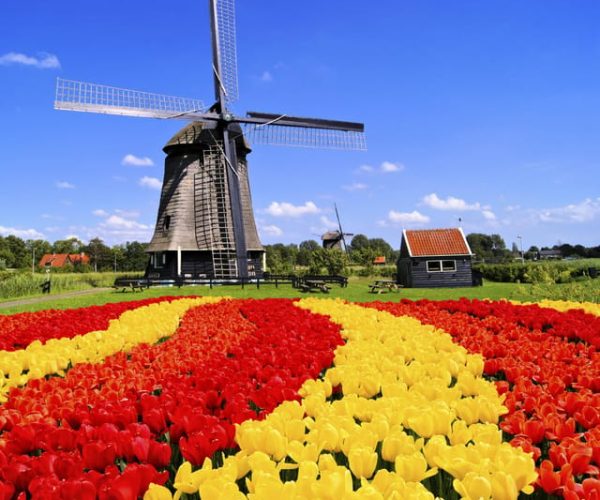 Amsterdam: Keukenhof and Tulip Fields Private Day Trip – South Holland, Netherlands