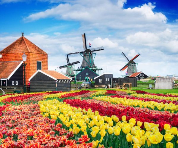 Amsterdam to Zaanse Schans Windmills, Volendam & Edam by Car – North Holland, Netherlands