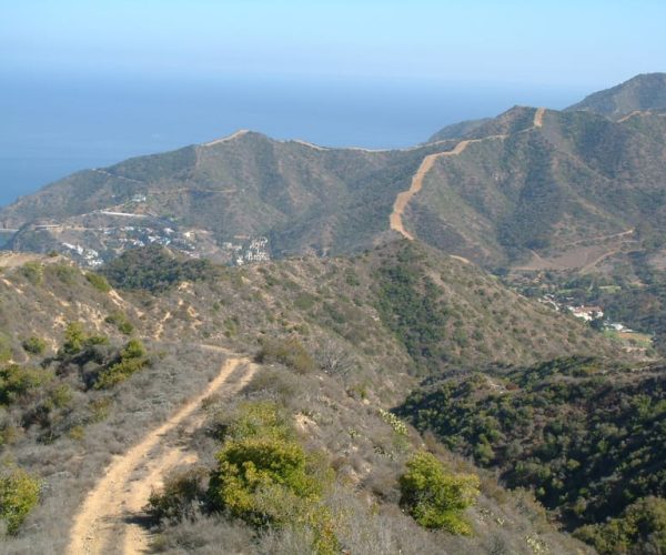 Avalon, Catalina Island: Island Adventure Tour – Avalon, California