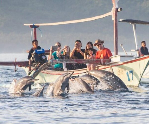 Bali : Bedugul and Lovina Dolphin Tour – Bali, Indonesia