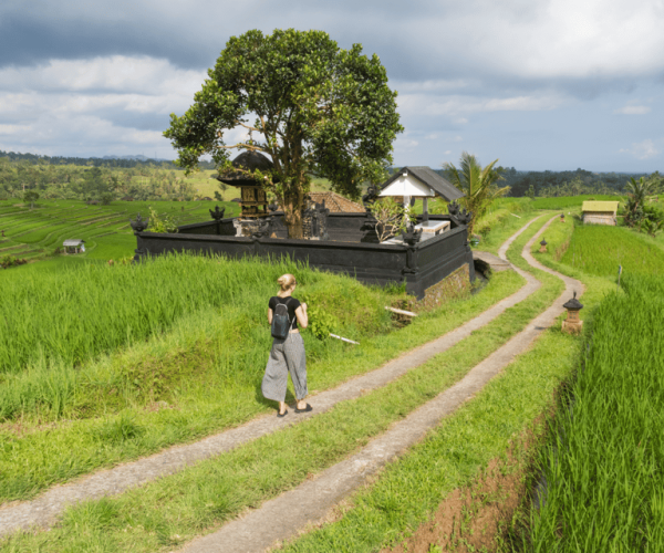 Bali: Jatiluwih UNESCO, Waterfall and Temple Private Tour – Bali, Indonesia