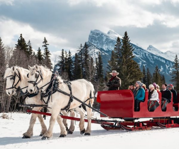 Banff: Family Friendly Horse-Drawn Sleigh Ride – Alberta, Canada