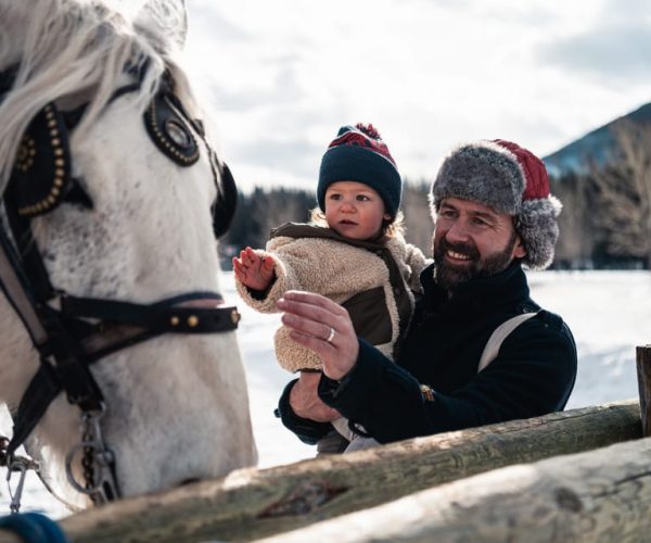 Banff: Private Horse-Drawn Sleigh Ride for Four – Alberta, Canada