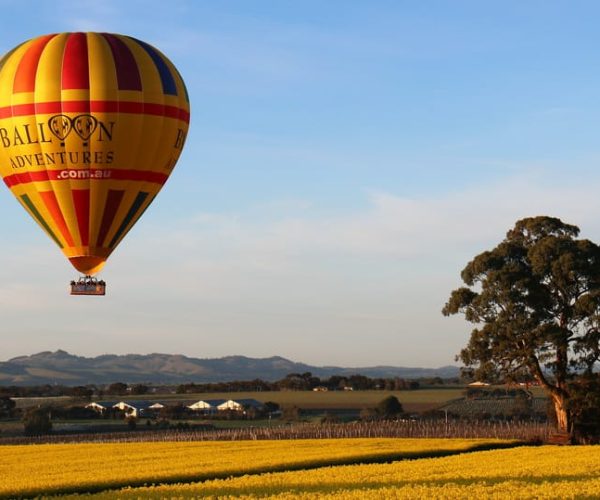 Barossa Valley: Hot Air Balloon Flight – South Australia, Australia