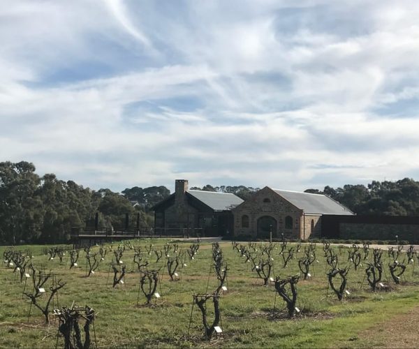 Barossa Valley: Small Group Wine Tour (Includes Lunch) – South Australia, Australia