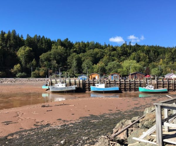 Bay of Fundy Tour by Luxury Car – New Brunswick, Canada