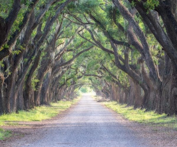 Bayous And Byways, Oak Alley Plantation And Kayak Swamp Tour – Vacherie, Louisiana