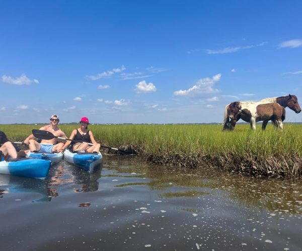 Berlin, MD: Full-, Half, or Quarter-Day Kayak Rental – Assateague Island, Maryland