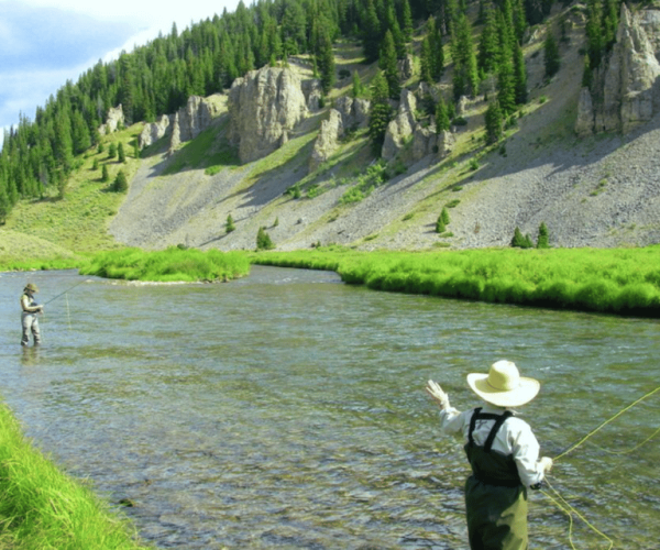 Big Sky: Learn to Fly Fish on the Gallatin River (3 hours) – Gallatin Gateway, Montana