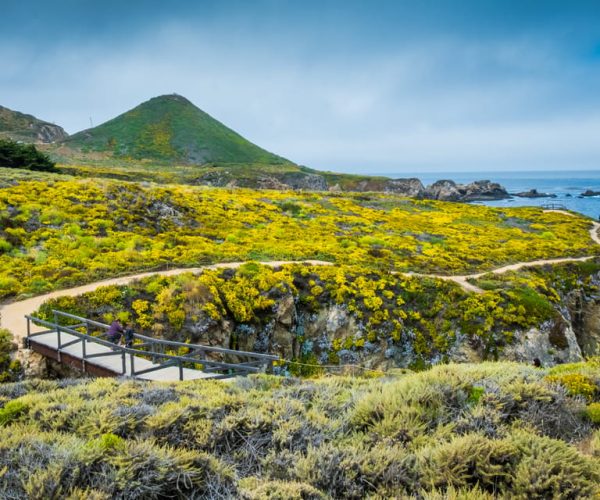 Big Sur & 17-Mile Self-Guided Audio Driving Tour – San Simeon, California