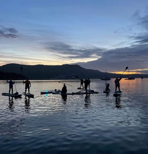 Brentwood Bay: Stand-up Paddleboard Bioluminescence Tour – Butchart Gardens, Canada