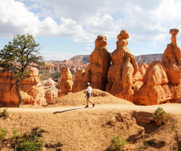 Bryce Canyon & Zion National Park: Private Group Tour – Checkerboard Mesa, Utah