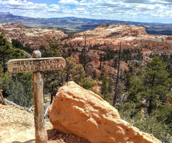 Bryce: Guided Sightseeing Tour of Bryce Canyon National Park – Natural Bridge, Utah