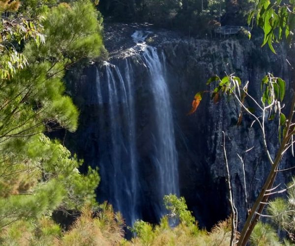 Byron Bay Hinterland: National Park and Waterfalls Tour – New South Wales, Australia