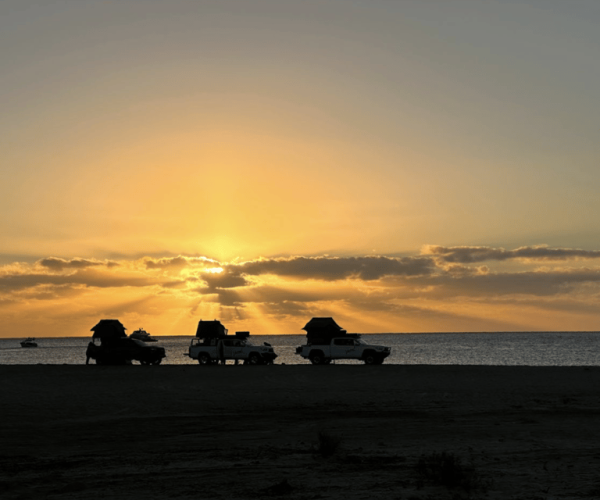 Cabo San Lucas: Discover Baja 4-Day Safari – Cabo San Lucas, Mexico