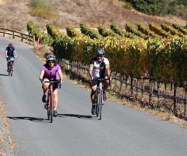 Calistoga: Napa Valley Cycling and Winery Tour with Picnic – Calistoga, California