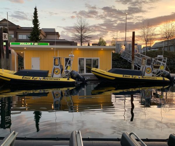 Campbell River: Discovery Passage Wildlife Zodiac Boat Tour – British Columbia, Canada