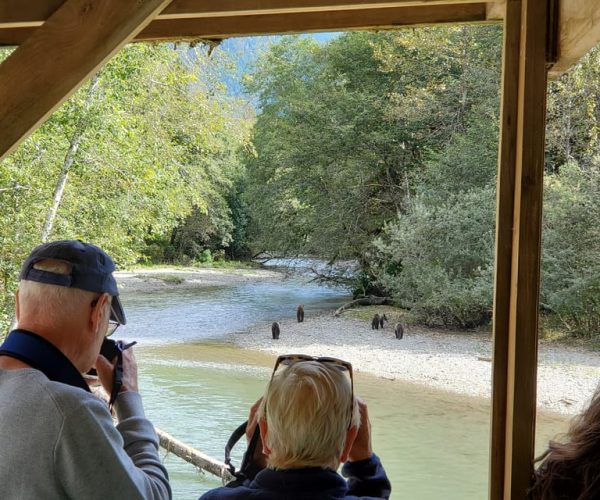 Campbell River: Grizzly Bear-Watching Tour with Lunch – British Columbia, Canada