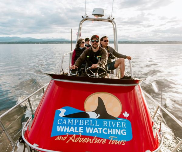 Campbell River: Whale Watching and Wildlife Viewing Day Tour – Johnstone Strait, Canada