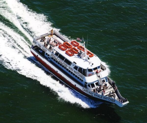 Cape May: Grand Lighthouse Cruise – Cape May, New Jersey