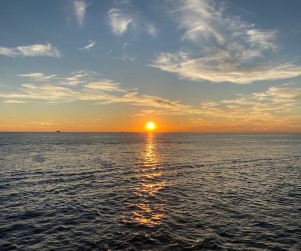 Cape May: Sunset Dolphin Watching Cruise with Food – Cape May Point, New Jersey