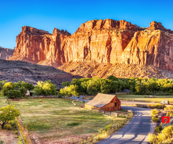 Capitol Reef National Park: Ultimate Scenic Driving Tour – Capitol Reef National Park, Utah