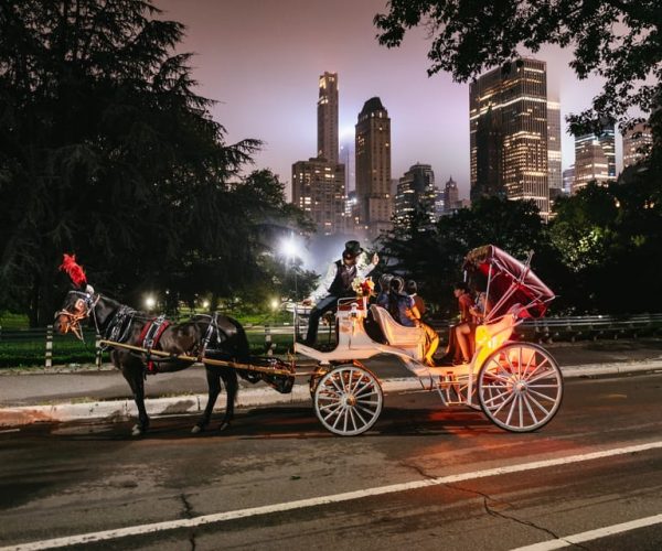 Central Park, Rockefeller & Times Carriage Ride (4 Adults) – New York City, New York