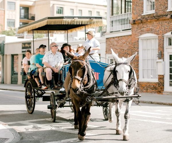 Charleston: 1-Hour Carriage Tour of the Historic District – Charleston, South Carolina