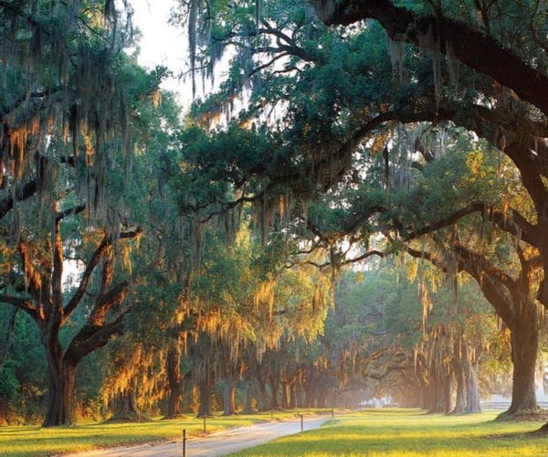 Charleston: Boone Hall & Historic City Tour Combo – Mount Pleasant, South Carolina