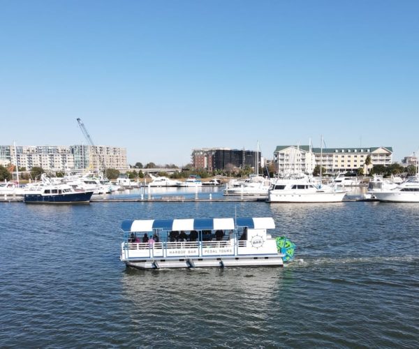 Charleston: Harbor Bar Pedal Boat Party Cruise – Charleston, South Carolina